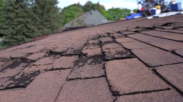  Idalou, TX Roofing Service Pros