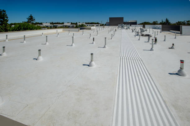 Best Roof Moss and Algae Removal  in Idalou, TX